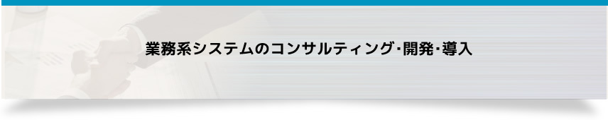 業務系システムのコンサルティング･開発･導入