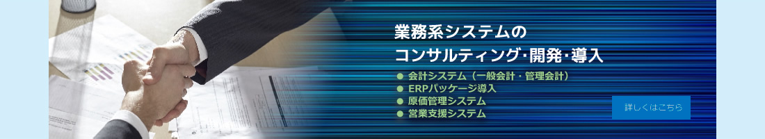 業務系システムのコンサルティング･開発･導入