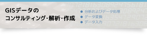 GISデータのコンサルティング･解析･作成